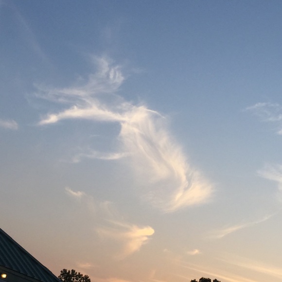 Meet your Posher, T - Picture 6 of 8